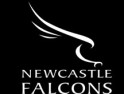 Pubs close to Kingston Park, home of Newcastle Falcons