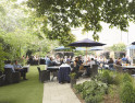 London's Best Beer Gardens