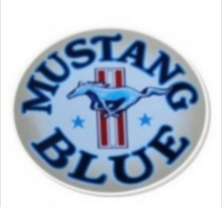 MUSTANG BLUE