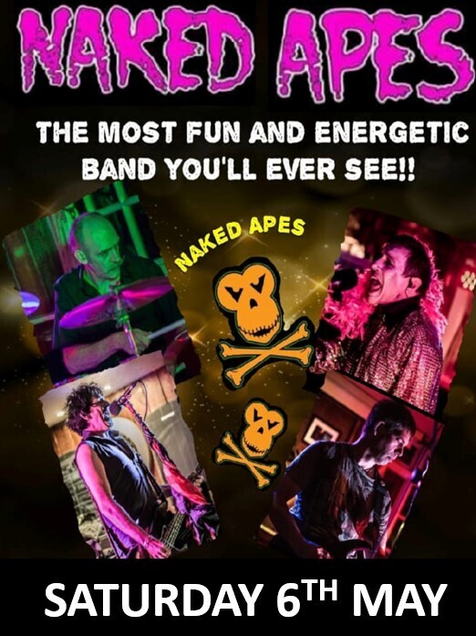 THE NAKED APES BAND