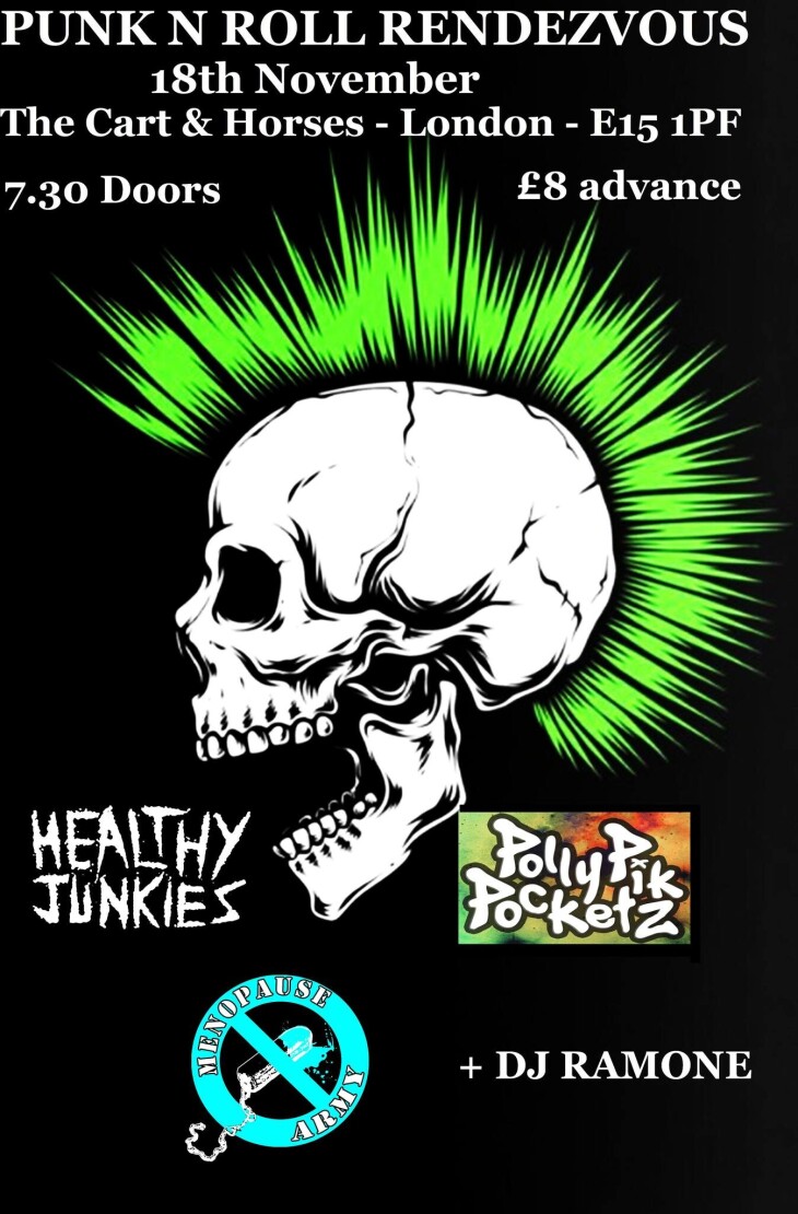 Punk n' Roll Rdv Ft Healthy Junkies