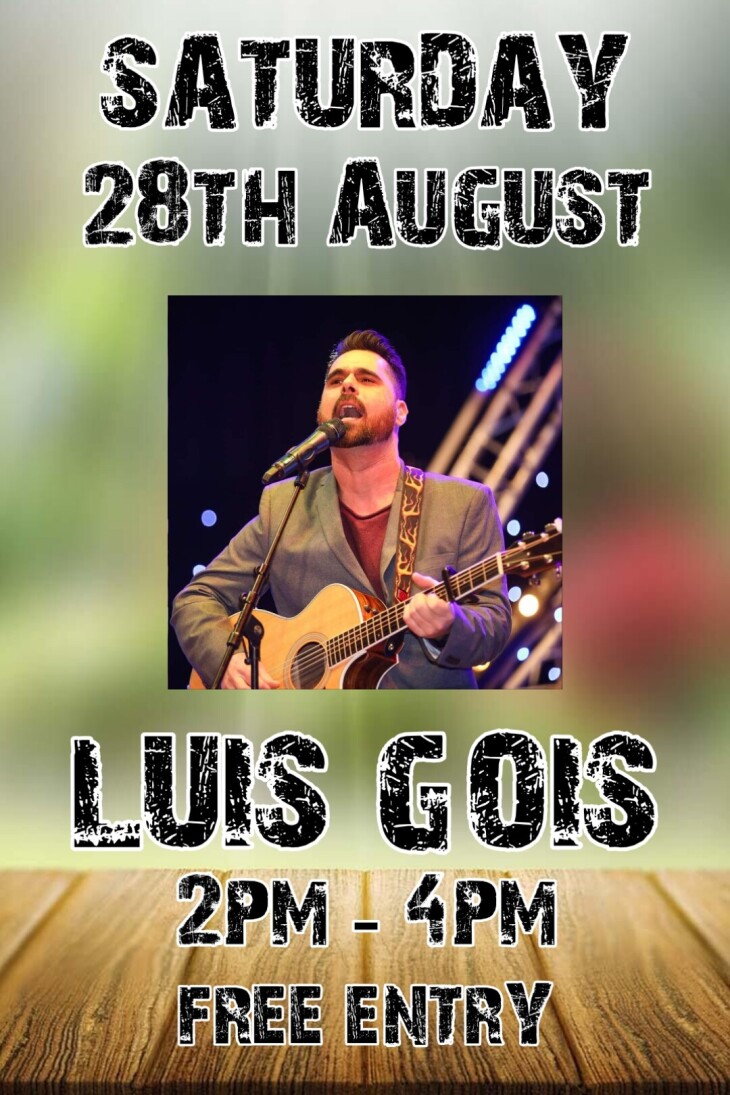 BANK HOLIDAY EVENT - LUIS GOIS LIVE