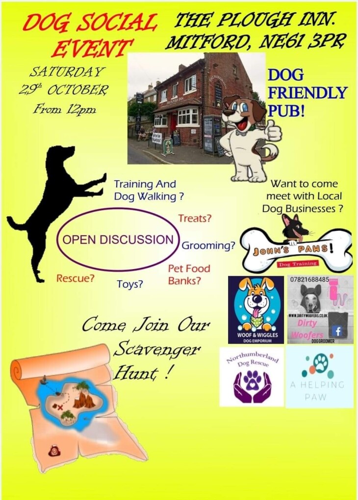 Dog social event 12-6pm