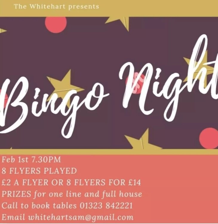 Bingo Night Wednesday 1st February