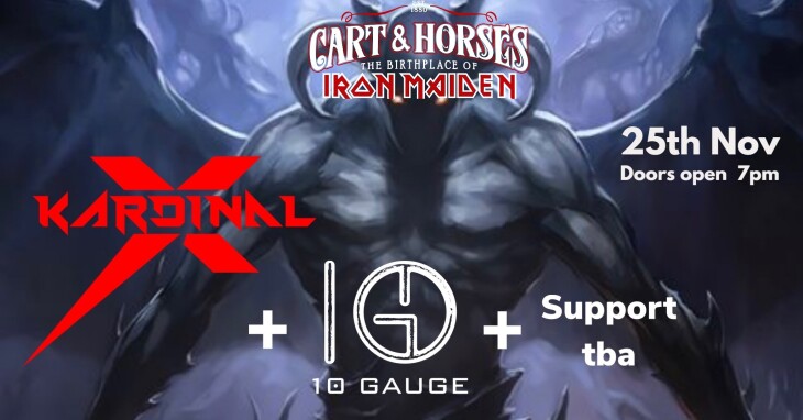 Kardinal X + 10 Gauge + Support