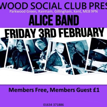 Alice Band (Social Club-Bar)