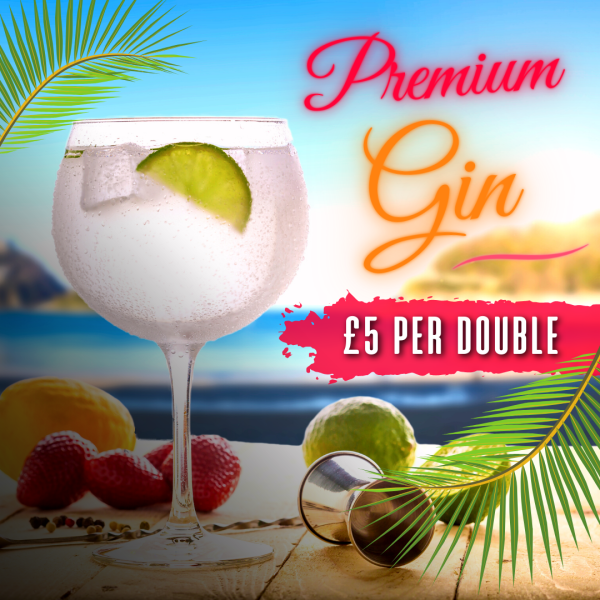 Premium Double Gin - £5