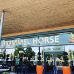 Pommel Horse