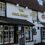 Cock Horse