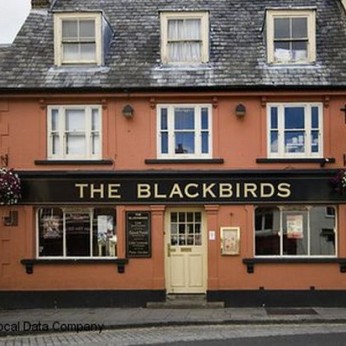 Blackbirds, Hertford